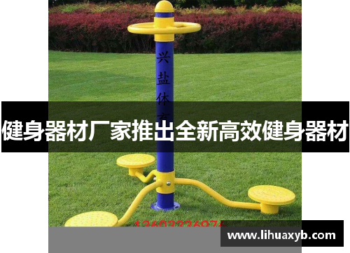 健身器材厂家推出全新高效健身器材